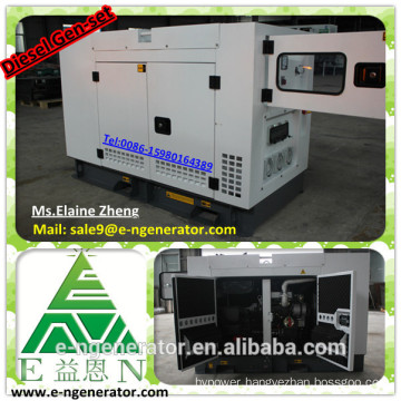 E.N Power- 18kw China yangdong (Y490D)generator silent with ATS